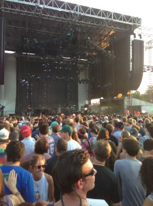 All the different humans